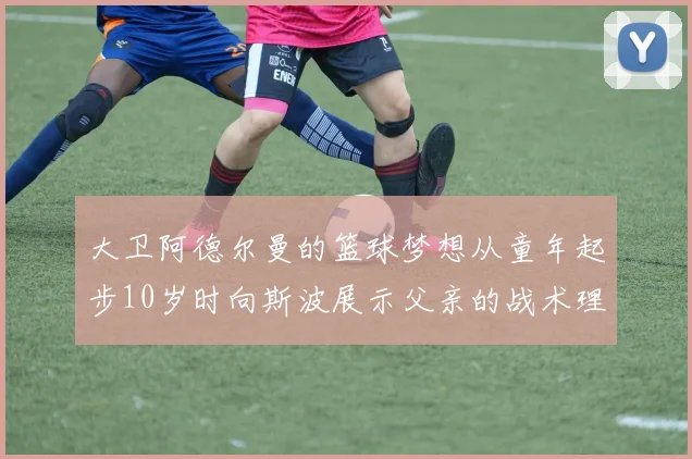 大卫阿德尔曼的篮球梦想从童年起步10岁时向斯波展示父亲的战术理念